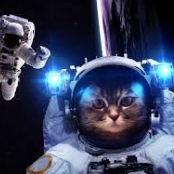 cat the astronaut