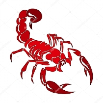 Scorpion XIII