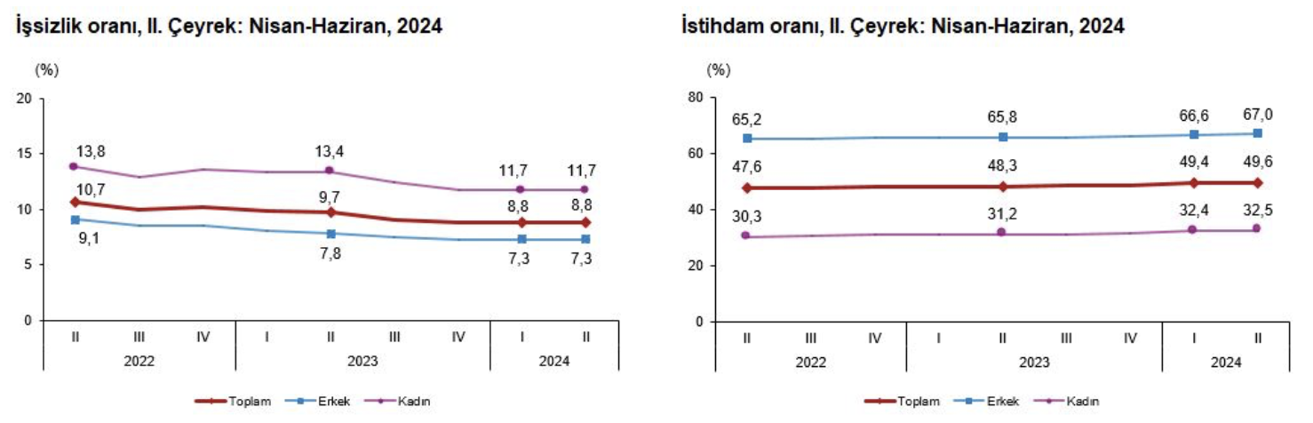 Türkiye İstatistik Kurumu (TÜİK) 2024 İş Gücü İstatistiklerini Açıkladı