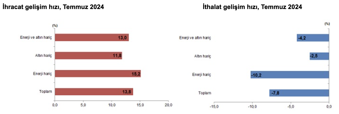 Türkiye'nin Dış Ticaret Verileri: Temmuz 2024 Raporu