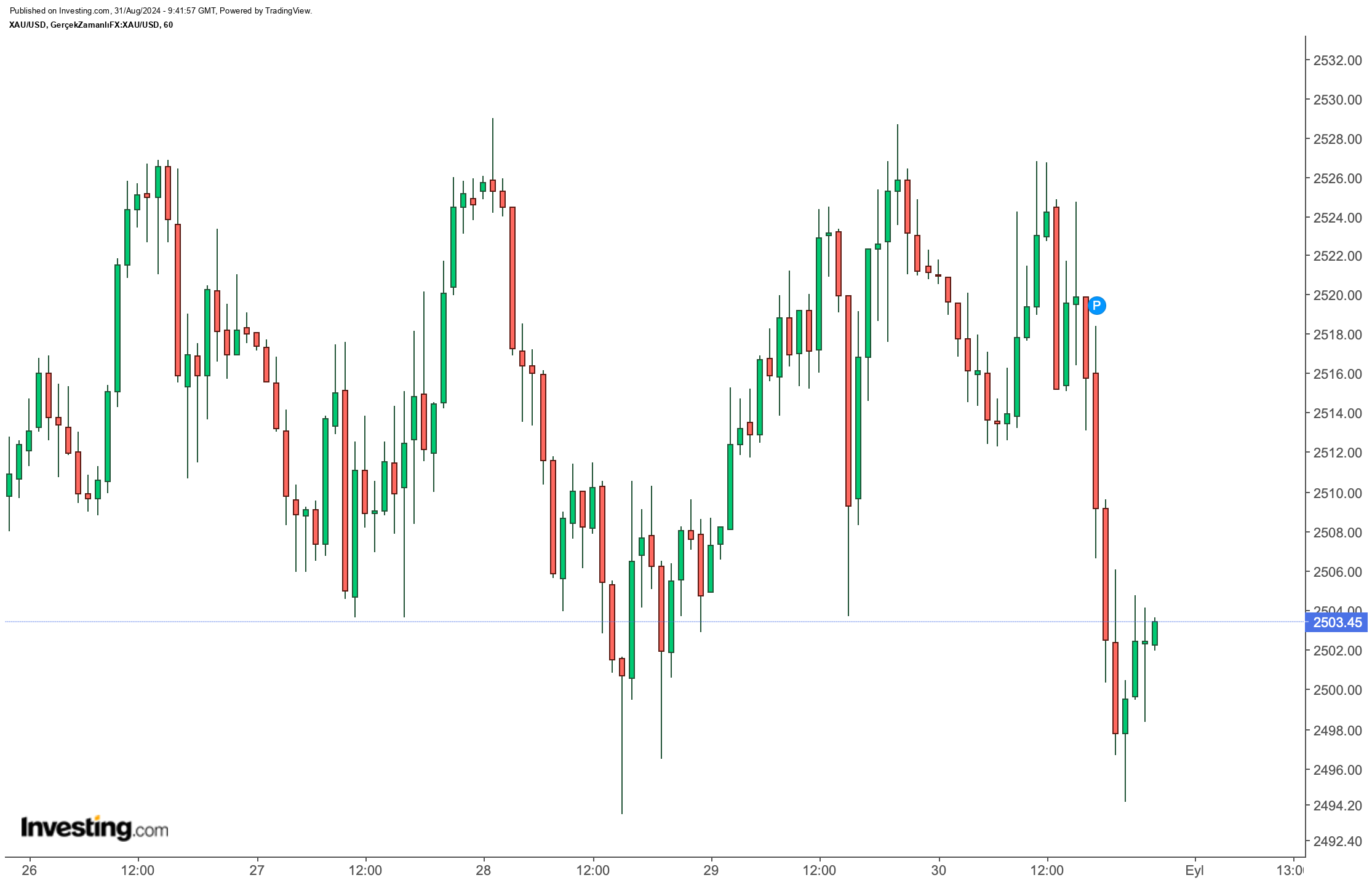 BIST 100 Endeksi