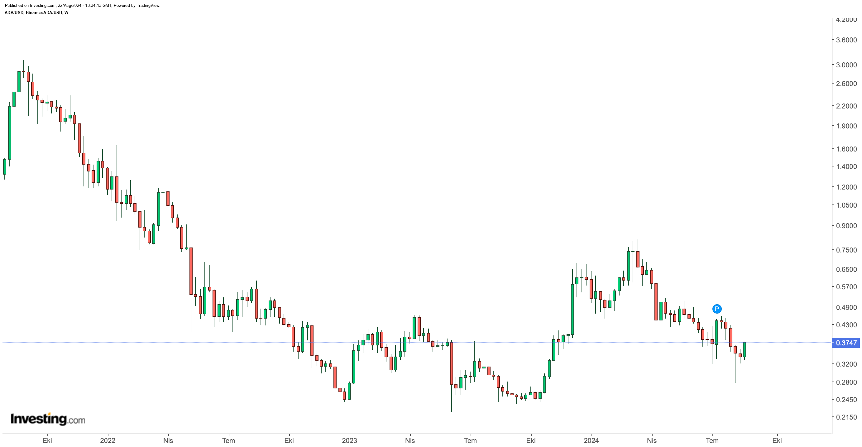 Cardano'nun Son Durumu ve Piyasa Performansı