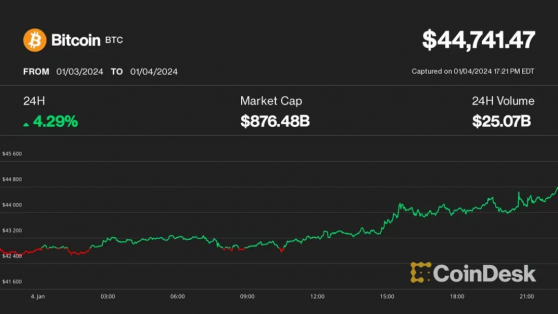 Spot ETF Kararının Yaklaşmasıyla Bitcoin Yeniden 44 Bin Doların Üzerinde