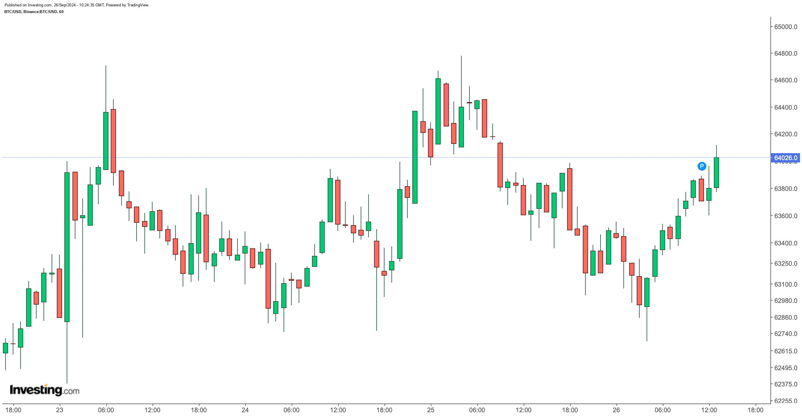 Bitcoin Piyasasında Volatilite ve Mt. Gox Etkisi