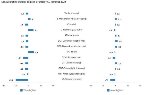 Sanayi Üretimi Raporu - Temmuz 2024