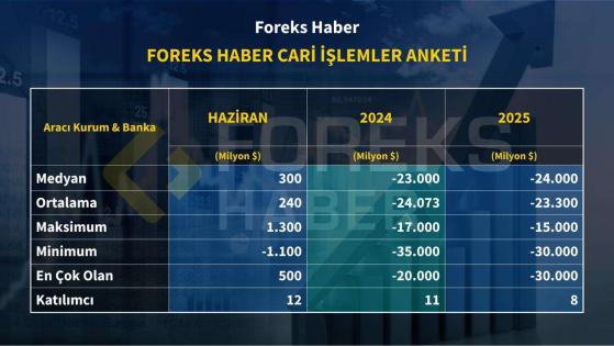 Foreks - Cari İşlemler Anketi Sonuçları Açıklandı