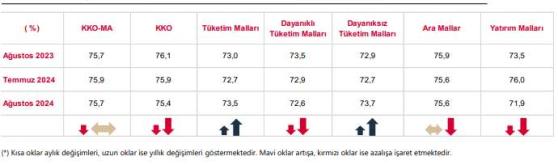 Kapasiye Kullanım Oranı Raporu - Ağustos 2024