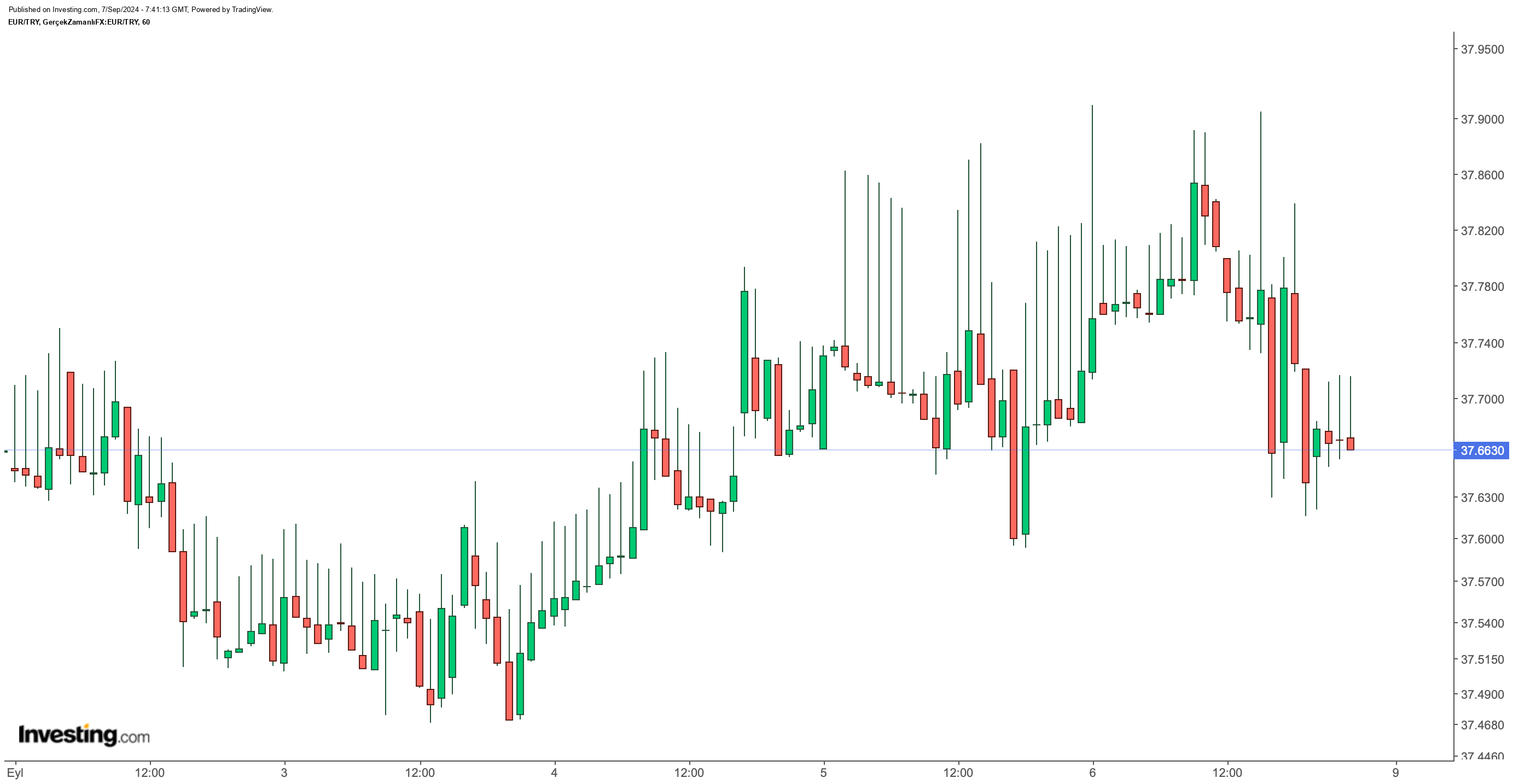 Euro/TL