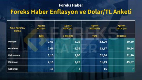 Foreks - Enflasyon ve Dolar/TL Anketi Sonuçları Açıklandı