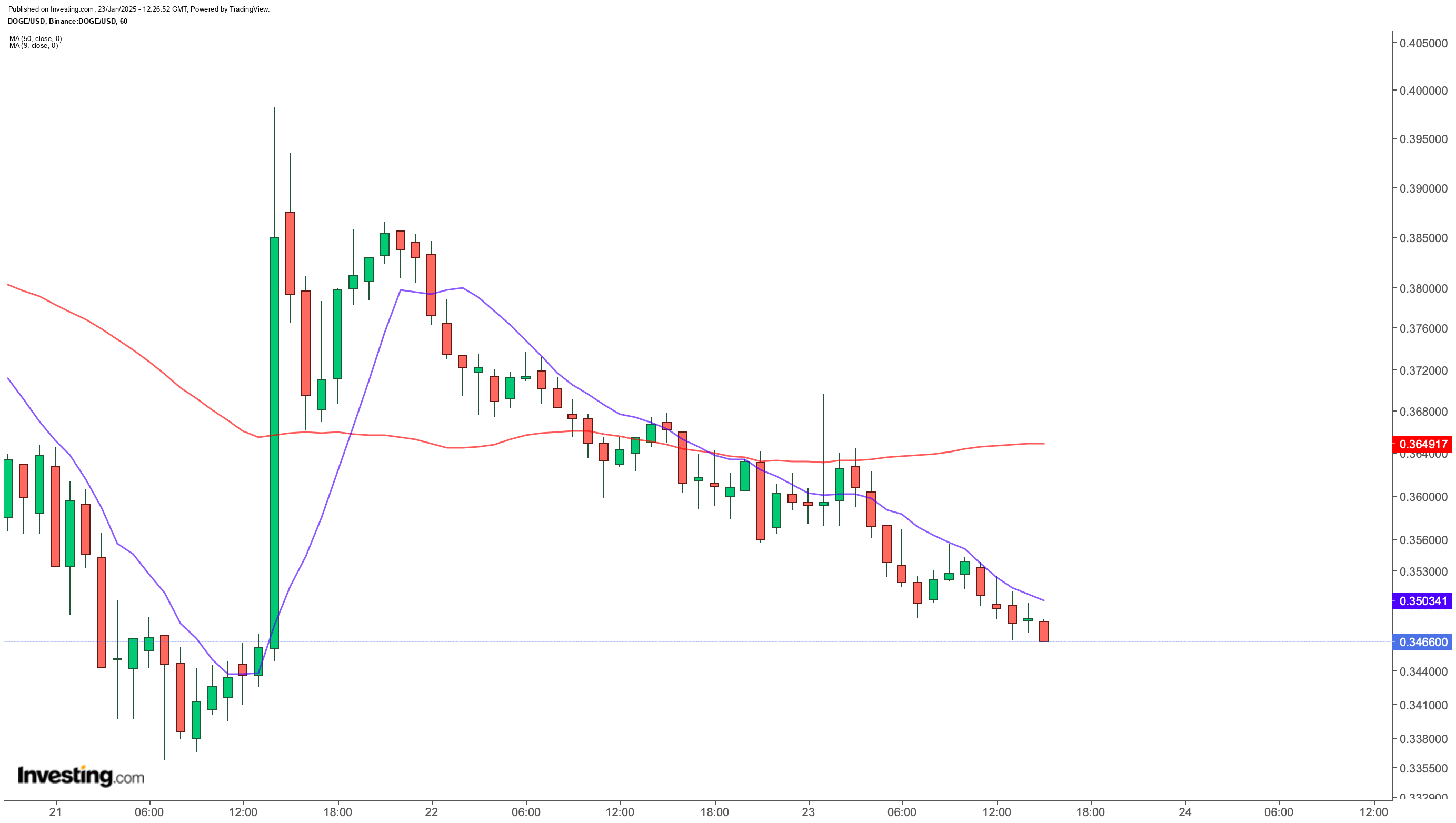 Bitwise Asset Management'dan Dogecoin Spot ETF Başvurusu