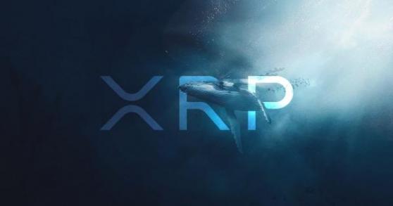 Yeni bir balina 200 milyon doların üzerinde XRP satın aldı: Ripple cephesinde neler oluyor?