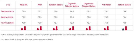 Kapacity Kullanım Oranı Hakkında