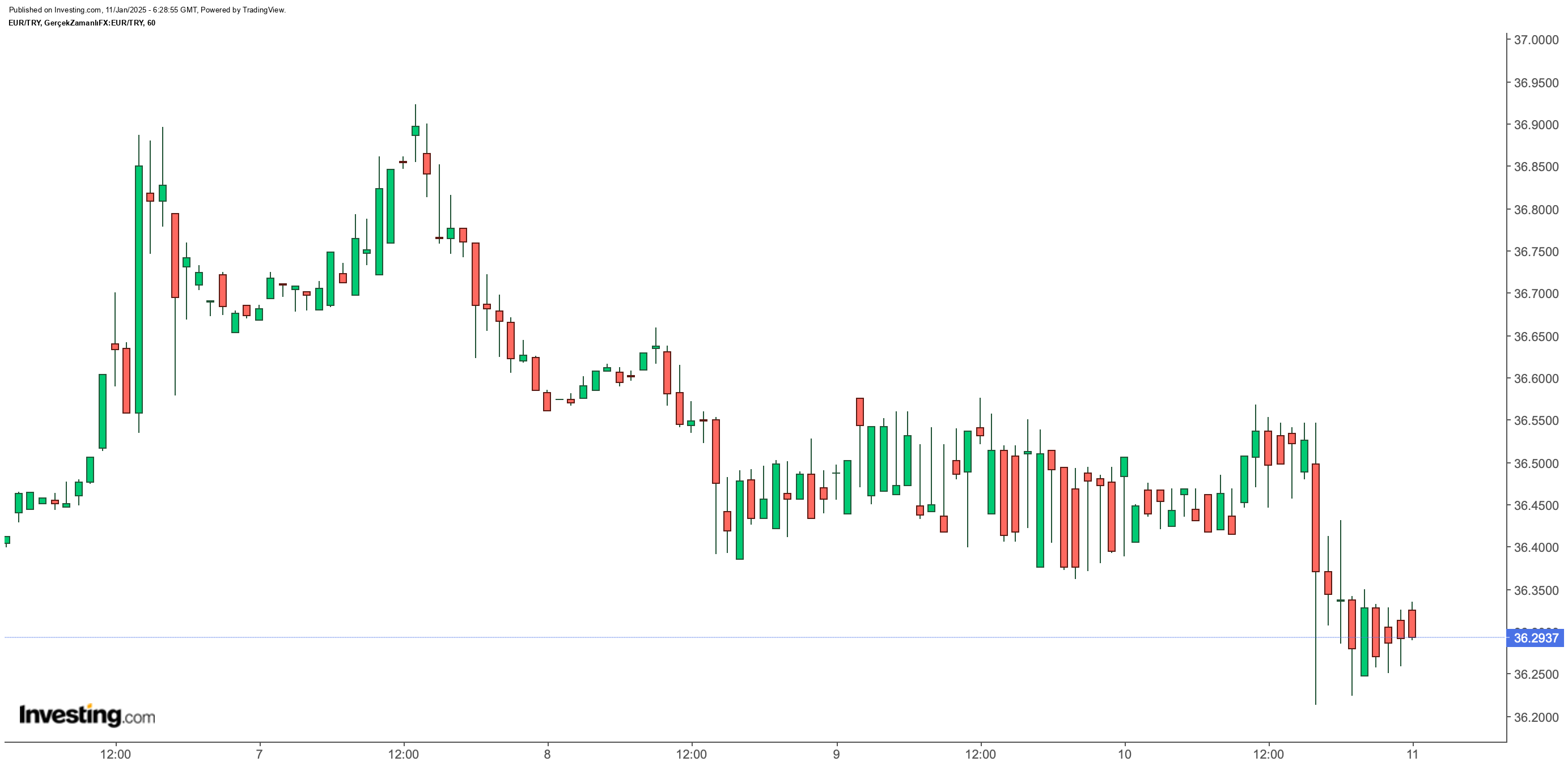 Euro/TL