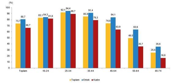 2024 İnternet Kullanım Verileri