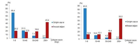 Türkiye'nin Dış Ticaret Verileri ve Girişimlerin Profili