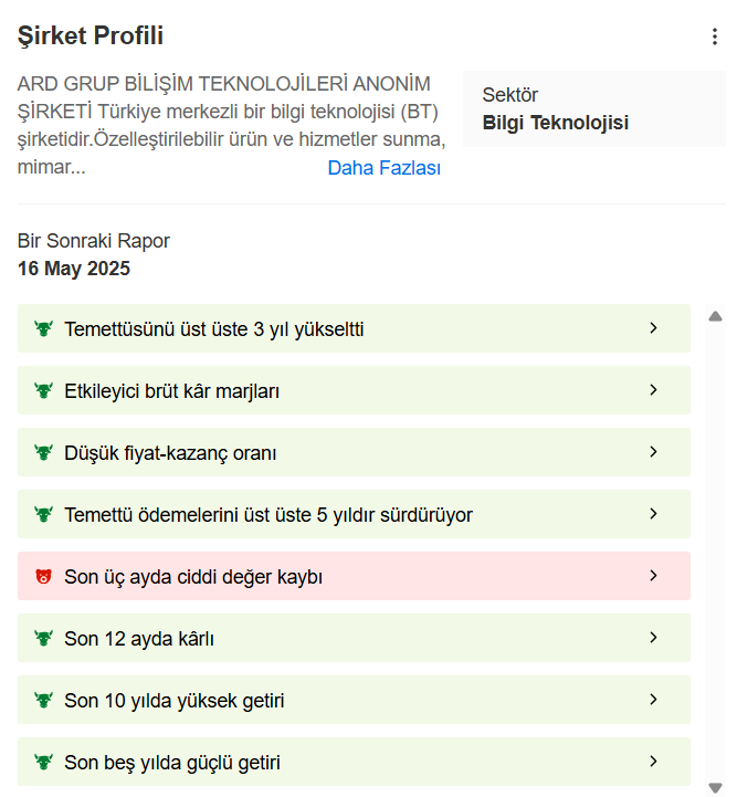 Ard Grup Bilişim Teknolojileri A.Ş. Şirket Profili