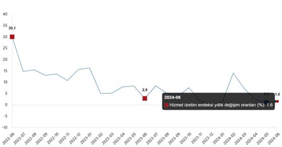 Hizmet Üretim Endeksi: Haziran 2024 Verileri