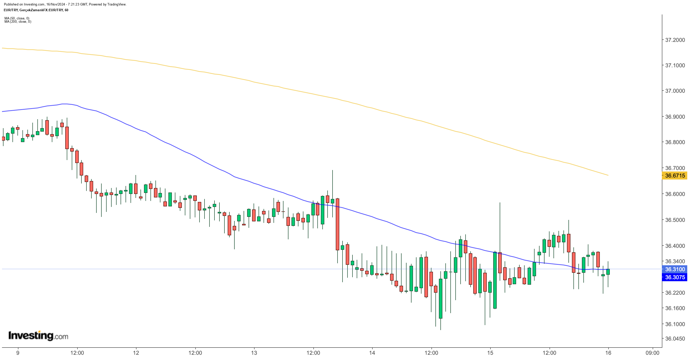 Euro/TL