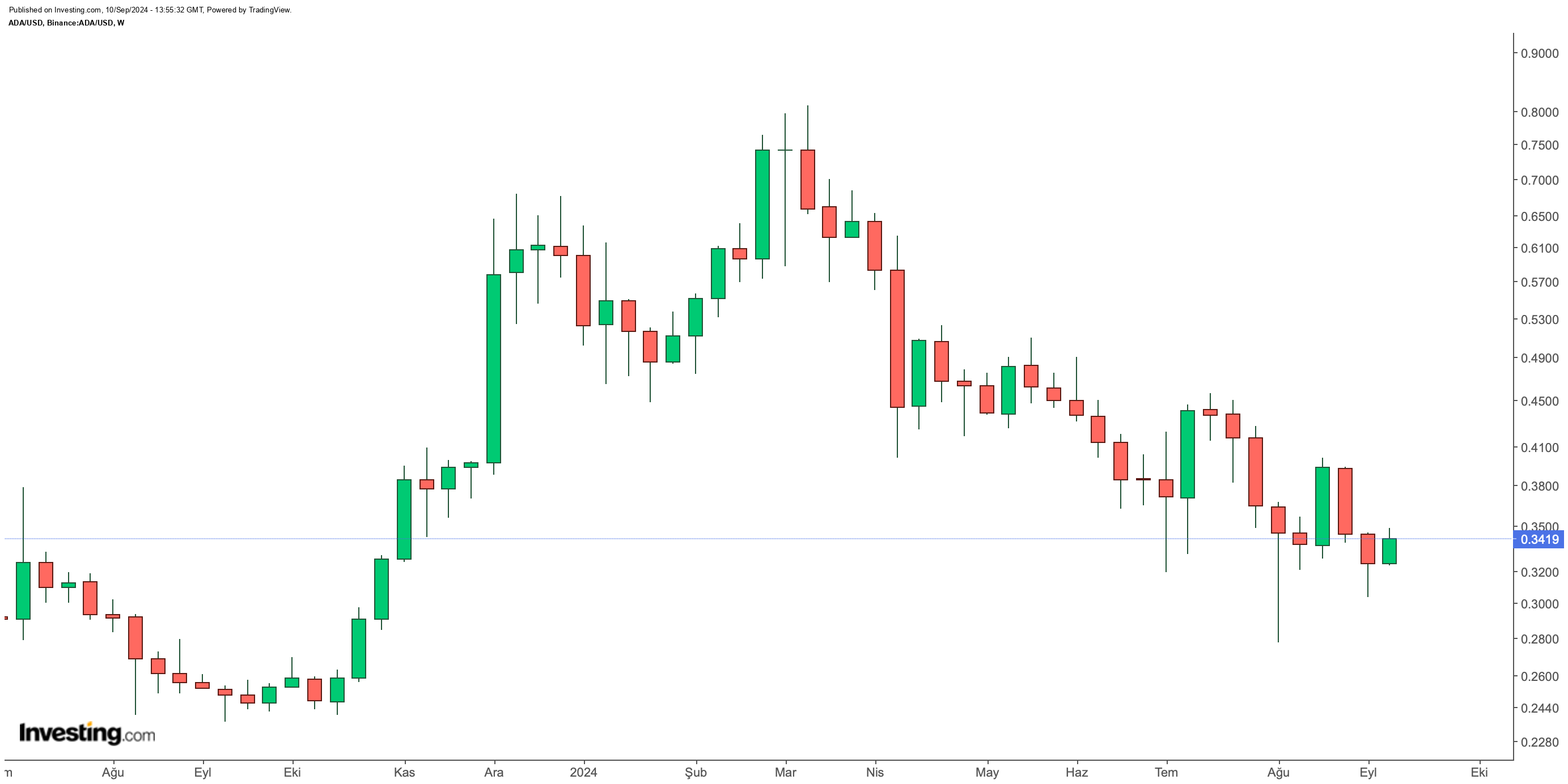 Cardano Aktif Adreslerinde Büyük Artış