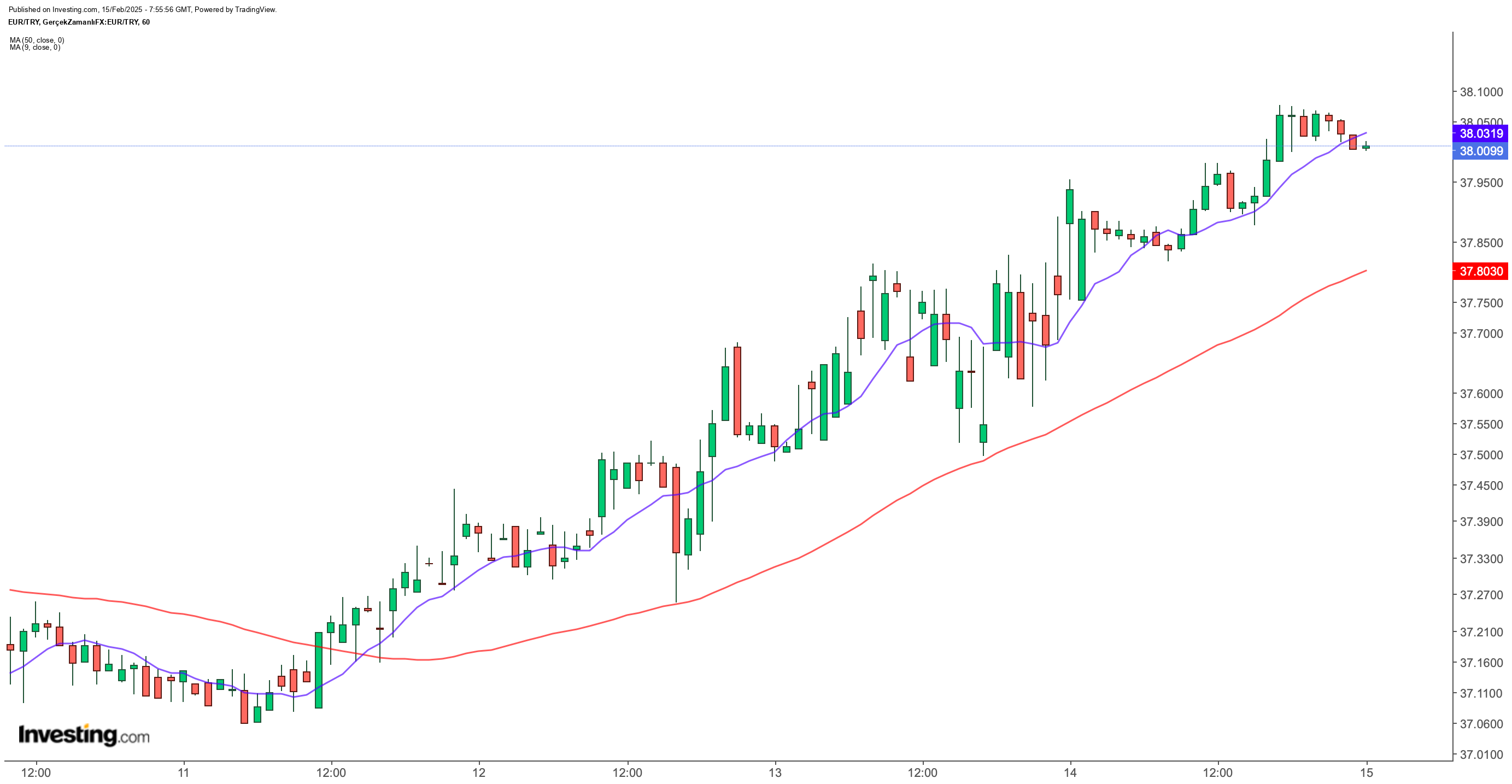 Euro/TL