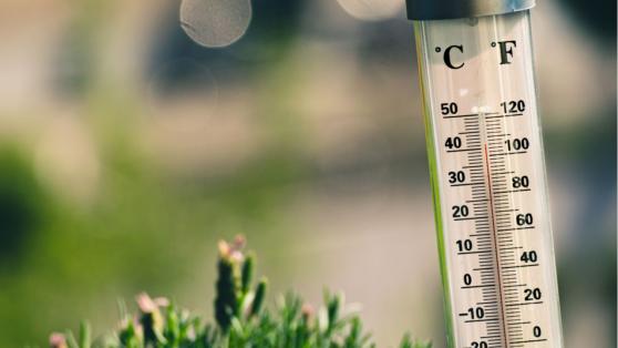 Celsius Mevduat Sahipleri Yasal Süreçte Yine Sıkıntılar Yaşıyor