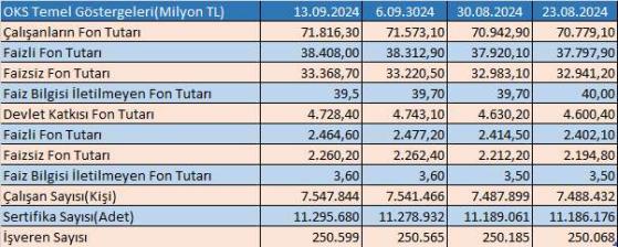 Otomatik Katılım Sistemi'nde çalışanların fon tutarı 71,8 milyar TL oldu