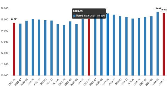 2024 Haziran Ücretli Çalışan İstatistikleri